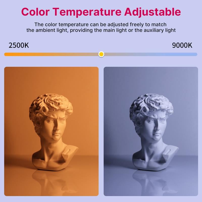A8009848f2cc54fa69e1d4e006c1428277
